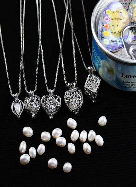 2020 love wish pearl cages locket necklace hollow out oyster pearl pendant necklace freshwater pearl shark mermaid sea horse diy j7710881, Silver
2020 love wish pearl cages locket necklace hollow out oyster pearl pendant necklace freshwater pearl shark mermaid sea horse diy j7710881, Silver
