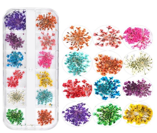 nail dried flowers 3d nail art sticker for tips manicure decor mixed accessories nail flower decorators for salon3141370, Silver;gold
nail dried flowers 3d nail art sticker for tips manicure decor mixed accessories nail flower decorators for salon3141370, Silver;gold