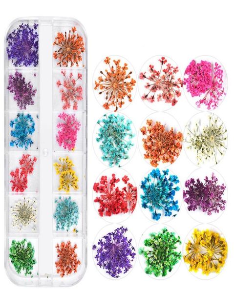 nail dried flowers 3d nail art sticker for tips manicure decor mixed accessories nail flower decorators for salon7548271, Silver;gold
nail dried flowers 3d nail art sticker for tips manicure decor mixed accessories nail flower decorators for salon7548271, Silver;gold