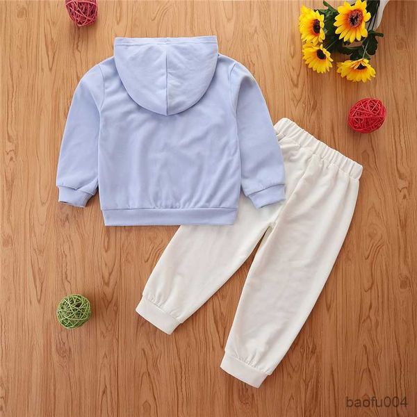 clothing sets autumn girl set long sleeve sweatshirt pants suits for kids casual children pants set r230718, White
clothing sets autumn girl set long sleeve sweatshirt pants suits for kids casual children pants set r230718, White