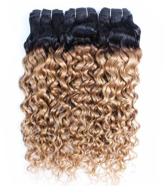 t1b27 water wave hair bundles honey blonde with dark roots 3pcs virgin brazilian indian peruvian malaysian human extension3796671, Black
t1b27 water wave hair bundles honey blonde with dark roots 3pcs virgin brazilian indian peruvian malaysian human extension3796671, Black