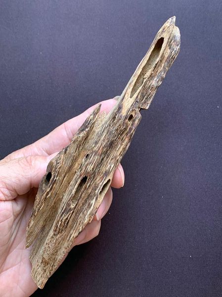 42g natural chinese national agarwood block oud chips incense strong sweet gaharu smell home fragrance aloes1723781
42g natural chinese national agarwood block oud chips incense strong sweet gaharu smell home fragrance aloes1723781