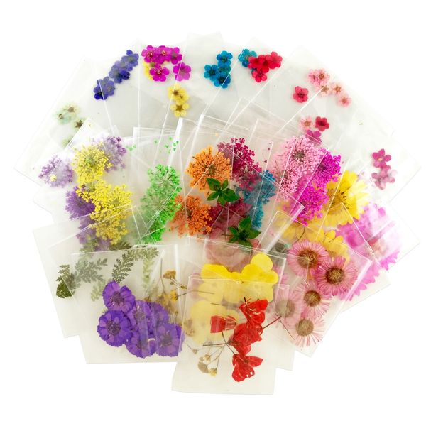 nail art decorations 20 pack a_grade real flower assorted styles pressed real flower 120 nail art natural dry flowers 230718, Silver;gold
nail art decorations 20 pack a_grade real flower assorted styles pressed real flower 120 nail art natural dry flowers 230718, Silver;gold