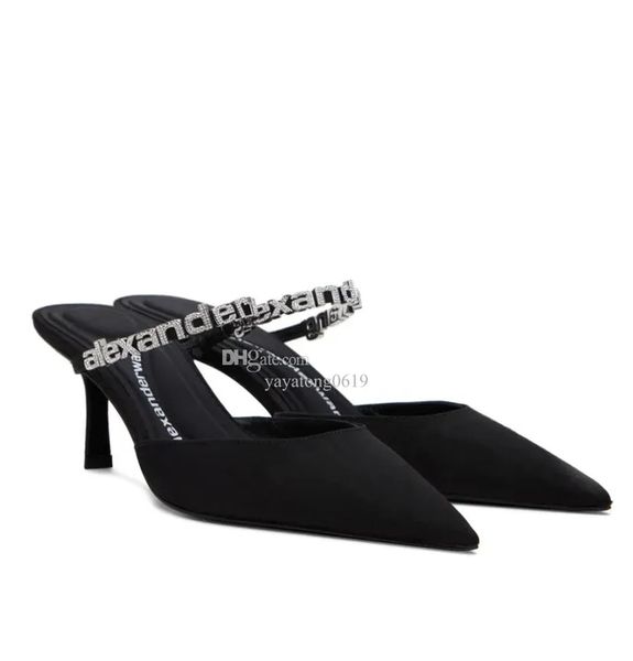 elegant brand summer wang delphine sandals shoes women black pointed toe slingback crystal branding around ankles straps high heels eu35-40
elegant brand summer wang delphine sandals shoes women black pointed toe slingback crystal branding around ankles straps high heels eu35-40