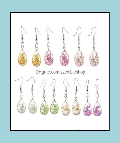 dangle chandelier earrings jewelry real dried flower fashion womens waterdrop glass statement sier plated drop delivery 2021 c7m8859969, Silver
dangle chandelier earrings jewelry real dried flower fashion womens waterdrop glass statement sier plated drop delivery 2021 c7m8859969, Silver