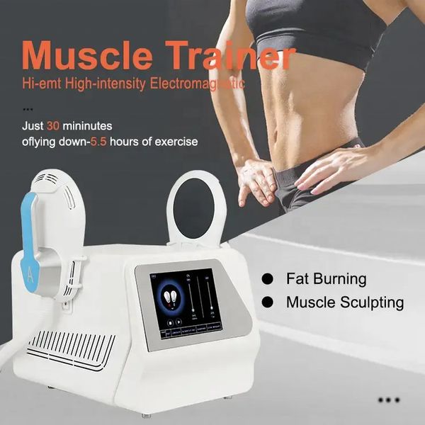 aesthetics ems high intensity sculpt 4 handles air cooling 7 tesla electromagnetic muscle stimulator fat burning hiemt rf body sculpting mus
aesthetics ems high intensity sculpt 4 handles air cooling 7 tesla electromagnetic muscle stimulator fat burning hiemt rf body sculpting mus