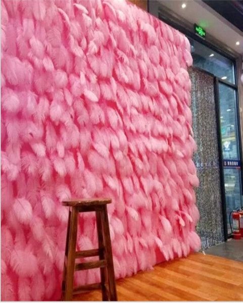 ostrich feather decorations backdrops party wedding birthday po props wall whole anniversary supplies 1520cm 100pcs each b3202242
ostrich feather decorations backdrops party wedding birthday po props wall whole anniversary supplies 1520cm 100pcs each b3202242