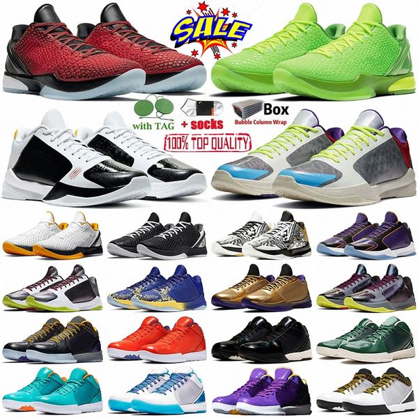 kobes mamba zoom 5 6 basketball shoes protro bruce lee what if lakers tucker big stage chaos rings eybl metallic gold grinch kobe 4 8 foreve
kobes mamba zoom 5 6 basketball shoes protro bruce lee what if lakers tucker big stage chaos rings eybl metallic gold grinch kobe 4 8 foreve