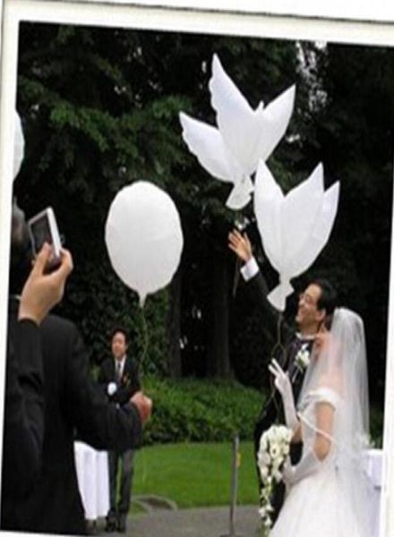 wedding decoration white dove balloon white wedding balloons ecofriendly biodegradable helium balloons party favors 10pcslot5063701
wedding decoration white dove balloon white wedding balloons ecofriendly biodegradable helium balloons party favors 10pcslot5063701