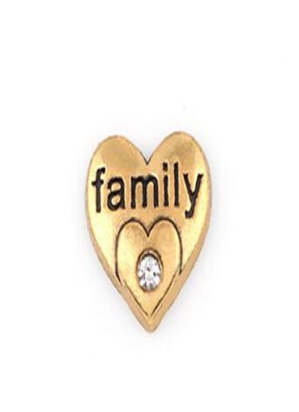 20pcslot gold plated family word letter charm diy heart floating locket charms fit for glass living magnetic locket2549925, Bronze;silver
20pcslot gold plated family word letter charm diy heart floating locket charms fit for glass living magnetic locket2549925, Bronze;silver