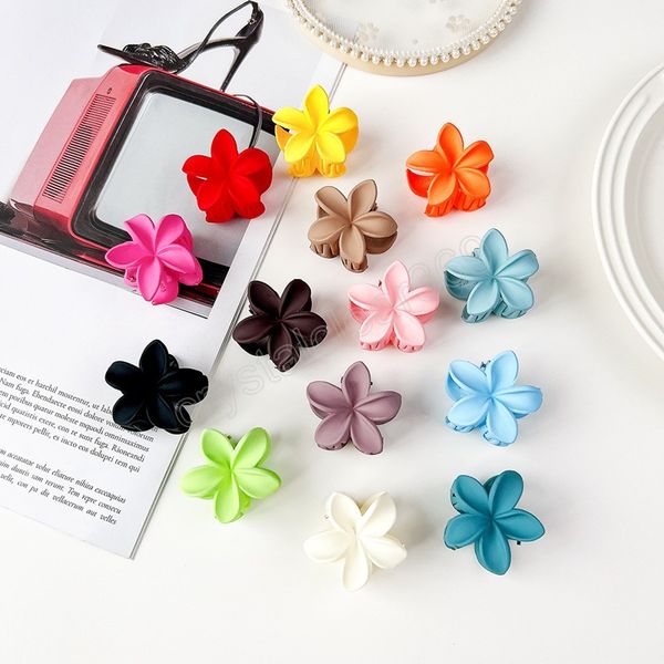candy color flower hair claws clips for women girls sweet colorful small crab hair clips barrettes hair accessories, Slivery;white
candy color flower hair claws clips for women girls sweet colorful small crab hair clips barrettes hair accessories, Slivery;white