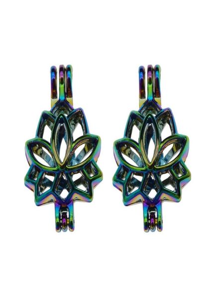 10pcs rainbow color lotus flower pearl cage bead cage locket pendant essential oil diffuser diy jewelry locket for oyster pearl6307670, Silver
10pcs rainbow color lotus flower pearl cage bead cage locket pendant essential oil diffuser diy jewelry locket for oyster pearl6307670, Silver