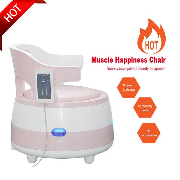 high intensity electromagnetic chair pelvic floor muscle postpartum emslim beauty machine
high intensity electromagnetic chair pelvic floor muscle postpartum emslim beauty machine