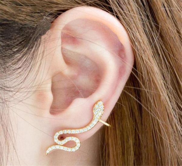 stud rose gold cz ear jacket earrings for women reptile jewelry animal crystal dainty boucle d'oreille femme 202119559202, Golden;silver
stud rose gold cz ear jacket earrings for women reptile jewelry animal crystal dainty boucle d'oreille femme 202119559202, Golden;silver