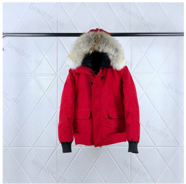 designer puffer down jacket mens down parkas mens winter warm coats womens parka coat jacket windproof embroidery letters streetwear, Black
designer puffer down jacket mens down parkas mens winter warm coats womens parka coat jacket windproof embroidery letters streetwear, Black