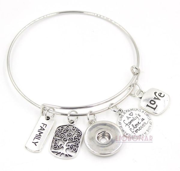 wholesale snap jewelry adjustable expandable bangle memorial family tree charm bracelets snap button bracelets for family gift1198884, Golden;silver
wholesale snap jewelry adjustable expandable bangle memorial family tree charm bracelets snap button bracelets for family gift1198884, Golden;silver