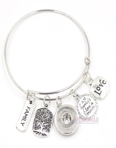 wholesale snap jewelry adjustable expandable bangle memorial family tree charm bracelets snap button bracelets for family gift8407412, Golden;silver
wholesale snap jewelry adjustable expandable bangle memorial family tree charm bracelets snap button bracelets for family gift8407412, Golden;silver