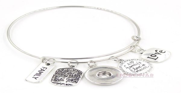 wholesale snap jewelry adjustable expandable bangle memorial family tree charm bracelets snap button bracelets for family gift7101246, Golden;silver
wholesale snap jewelry adjustable expandable bangle memorial family tree charm bracelets snap button bracelets for family gift7101246, Golden;silver