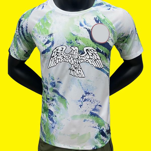 23 24 nigeria soccer jersey 2023 home maillot de foot nigerian #10 okocha shirt away amokachi ikpeba yekini iheanacho iwobi ighalo football, Black;yellow
23 24 nigeria soccer jersey 2023 home maillot de foot nigerian #10 okocha shirt away amokachi ikpeba yekini iheanacho iwobi ighalo football, Black;yellow
