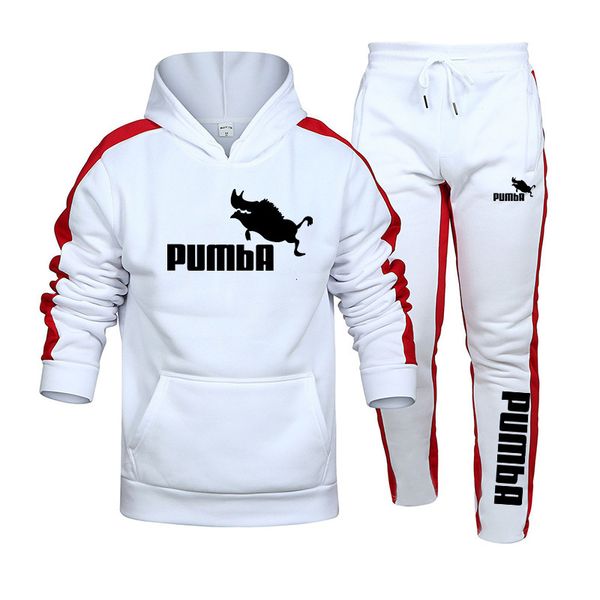 men's tracksuits mens tracksuit hooded sweatshirts and jogger pants gym outfits autumn winter casual sports hoodie set 230721, Gray