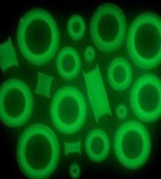 wholes 160pcslot 8 size soft silicone ear plugs tunnels glow in dark ear tunnel piercings f623957468, Silver
wholes 160pcslot 8 size soft silicone ear plugs tunnels glow in dark ear tunnel piercings f623957468, Silver