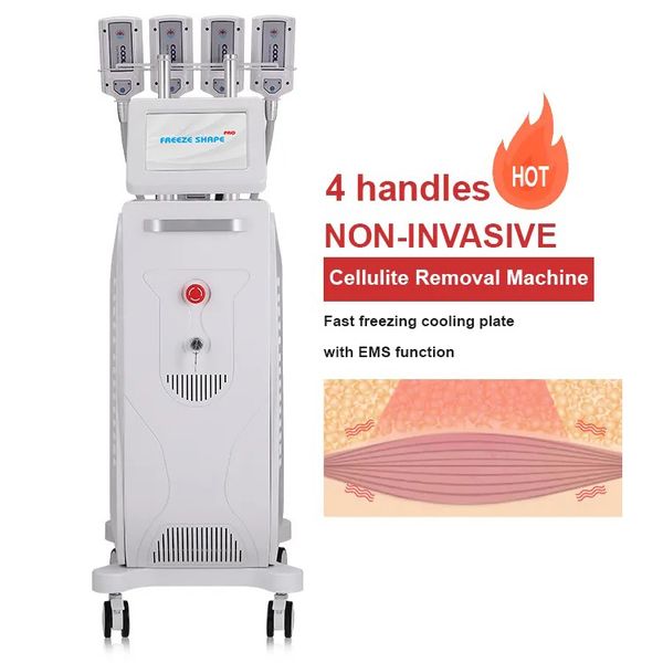 beauty equipment 4 or 8 handles frozen fat dissolving cryo ems body sculpting cold pads cellulite reduction slimming massage weight loss sys
beauty equipment 4 or 8 handles frozen fat dissolving cryo ems body sculpting cold pads cellulite reduction slimming massage weight loss sys