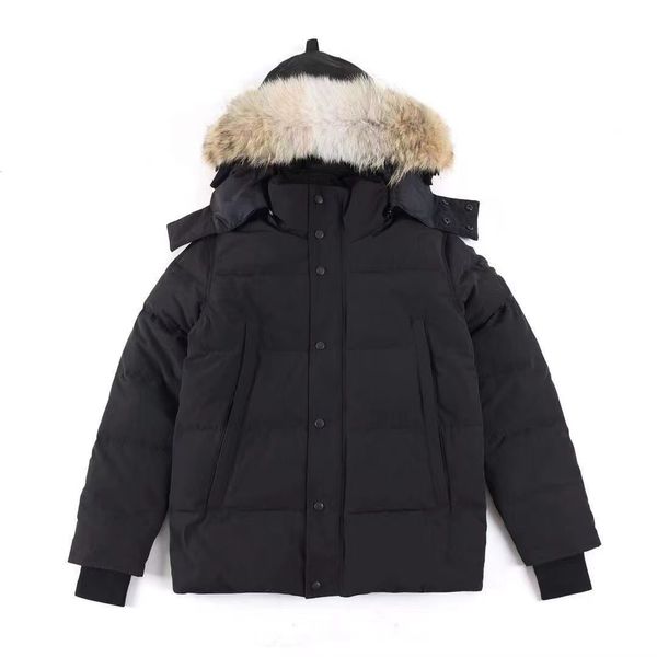 designer mens down jackets white duck windbreak men parkas jacket collar winter puffer real wolf fur coat arctic hood trim doudoune manteau, Black;brown
designer mens down jackets white duck windbreak men parkas jacket collar winter puffer real wolf fur coat arctic hood trim doudoune manteau, Black;brown