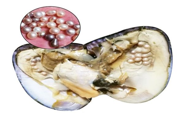 whole about 25 pcs natural freshwater whole pearls oystermixed color freshwater pearl vacuum packaging whole oyster shells9631959, White
whole about 25 pcs natural freshwater whole pearls oystermixed color freshwater pearl vacuum packaging whole oyster shells9631959, White