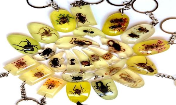 50 pcs mixed style fashion keychain real insect charming jewelry5771959, Slivery;golden
50 pcs mixed style fashion keychain real insect charming jewelry5771959, Slivery;golden