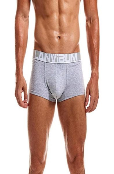 underpants men underwear 92 cotton boxer breif male sport panties breathable soft lingerie man comfy trunks5716165, Black;white
underpants men underwear 92 cotton boxer breif male sport panties breathable soft lingerie man comfy trunks5716165, Black;white