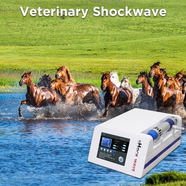 horse veterinary shock wave with 5pcs different size of tip equine arthrosis treatment electromagnetic shockwave therapy machine
horse veterinary shock wave with 5pcs different size of tip equine arthrosis treatment electromagnetic shockwave therapy machine