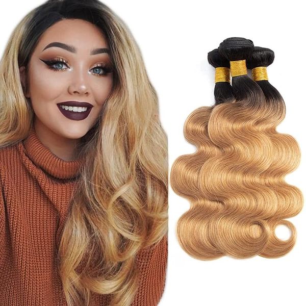 brazilian 100% human hair body wave bundles blonde 1/3/4 bundles remy pre colored hair weave extensions 1b27, Black
brazilian 100% human hair body wave bundles blonde 1/3/4 bundles remy pre colored hair weave extensions 1b27, Black