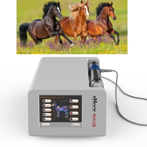 professional vet powerful treatment physiotherapy machine eswt extracorporeal horse veterinary equine arthrosis shockwave therapy equipment
professional vet powerful treatment physiotherapy machine eswt extracorporeal horse veterinary equine arthrosis shockwave therapy equipment