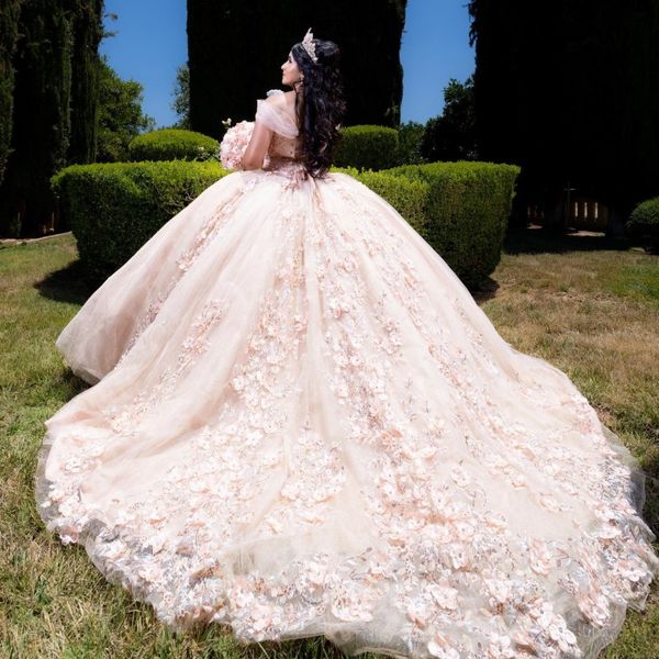 pink shiny quinceanera prom dresses formal ball gown tulle 3dflower beads sweet 15 16 dress quinceanera anos birthday party gowns, Blue;red
pink shiny quinceanera prom dresses formal ball gown tulle 3dflower beads sweet 15 16 dress quinceanera anos birthday party gowns, Blue;red
