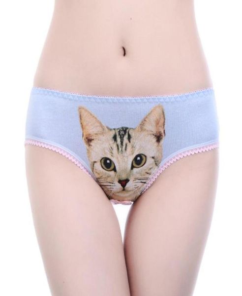 women039s panties 3d cat print underwear clothes women funny female lingerie briefs low waist comfortable underpants short2784612, Black;pink
women039s panties 3d cat print underwear clothes women funny female lingerie briefs low waist comfortable underpants short2784612, Black;pink