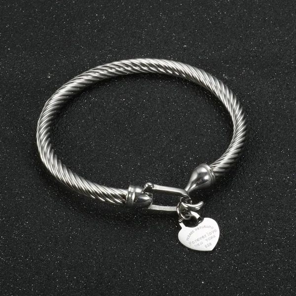 new titanium steel bangle cable wire gold color love heart charm bangle bracelet with hook closure for women men wedding jewelry gifts1, Golden;silver
new titanium steel bangle cable wire gold color love heart charm bangle bracelet with hook closure for women men wedding jewelry gifts1, Golden;silver