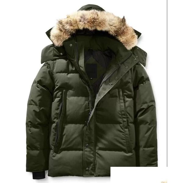 women's down parkas womens winter jackets parka coat hoodie with real wolf fur holder jacket zipper windproof and waterproof warm co, Black
women's down parkas womens winter jackets parka coat hoodie with real wolf fur holder jacket zipper windproof and waterproof warm co, Black