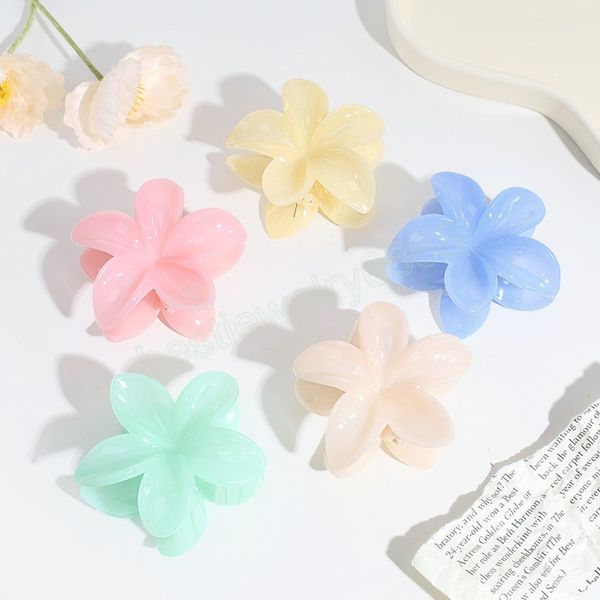 korean style flower hair claws sweet jelly color plastic ponytail holder hair clips for women girls makeup bath hair accessories, Slivery;golden
korean style flower hair claws sweet jelly color plastic ponytail holder hair clips for women girls makeup bath hair accessories, Slivery;golden