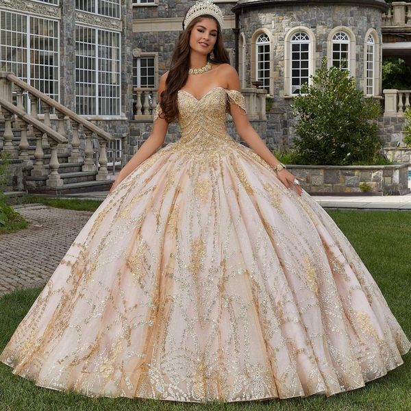 champagne sparkly crystal appliques quinceanera dresses ball gown sleeveless beading ruffles corset for sweet 15 girls, Blue;red
champagne sparkly crystal appliques quinceanera dresses ball gown sleeveless beading ruffles corset for sweet 15 girls, Blue;red