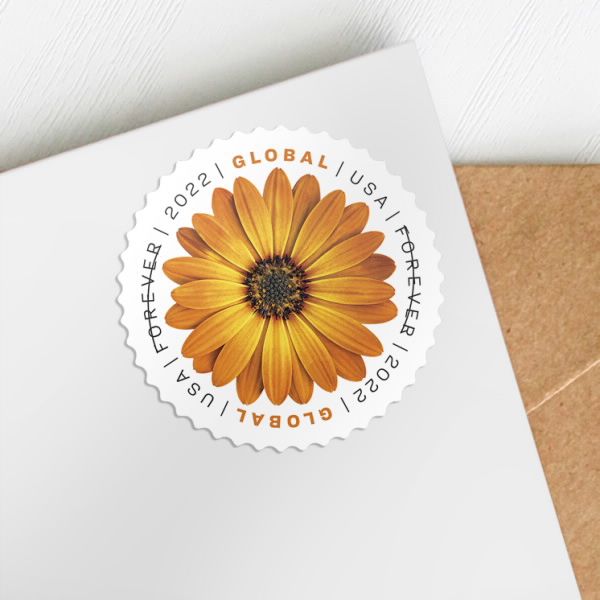 stamps for mailing envelopes mailers shipping supplies wedding celebration anniversary graduation announcement
stamps for mailing envelopes mailers shipping supplies wedding celebration anniversary graduation announcement