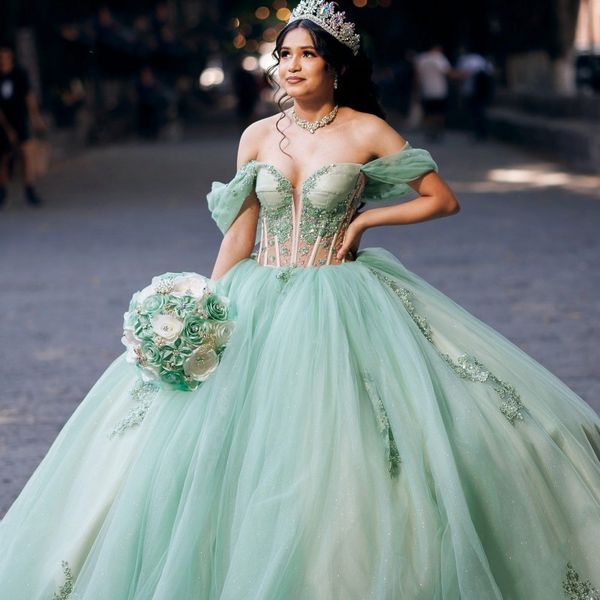 sage green shiny quinceanera dresses beading lace appliques off the shoulder birthday party princess prom vestidos de 15anos, Blue;red
sage green shiny quinceanera dresses beading lace appliques off the shoulder birthday party princess prom vestidos de 15anos, Blue;red