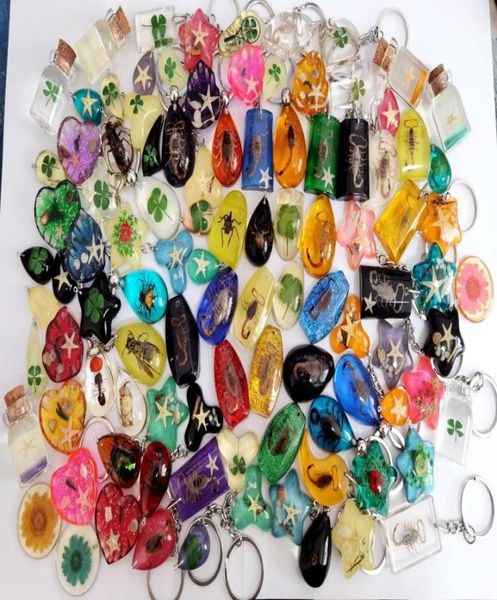 100 pcs real natural dried flower starfish insect scorpion bee shamrock keychain key ring jewelry1919121, Slivery;golden
100 pcs real natural dried flower starfish insect scorpion bee shamrock keychain key ring jewelry1919121, Slivery;golden