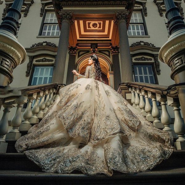 champagne long sleeves luxury tulle ball gown quinceanera dresses gold appliques vestido de 15 anos sweet 16 dresses, Blue;red
champagne long sleeves luxury tulle ball gown quinceanera dresses gold appliques vestido de 15 anos sweet 16 dresses, Blue;red