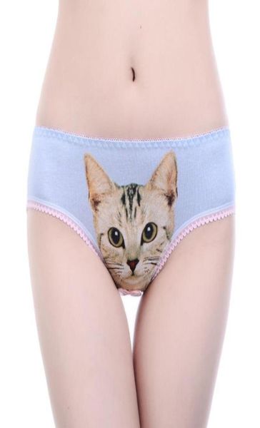 women039s panties 3d cat print underwear clothes women funny female lingerie briefs low waist comfortable underpants short9696852, Black;pink
women039s panties 3d cat print underwear clothes women funny female lingerie briefs low waist comfortable underpants short9696852, Black;pink