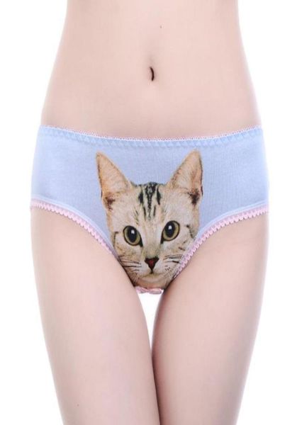 women039s panties 3d cat print underwear clothes women funny female lingerie briefs low waist comfortable underpants short9781588, Black;pink
women039s panties 3d cat print underwear clothes women funny female lingerie briefs low waist comfortable underpants short9781588, Black;pink