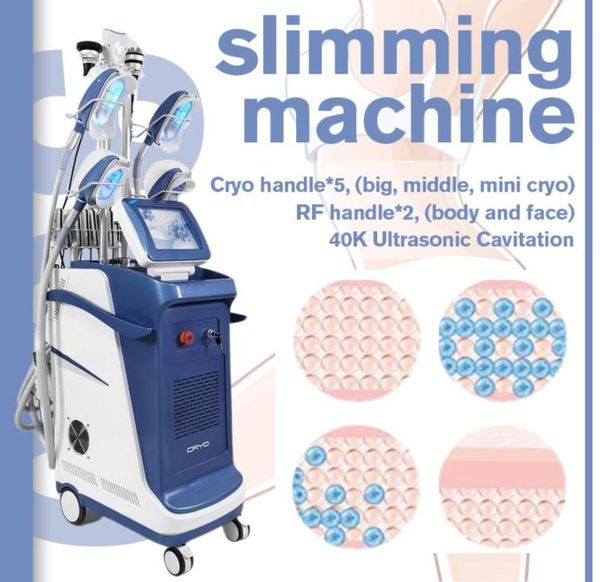other beauty equipment 360 cryolipolysis machines fat zing slimming lipo cavitation rf body slimming cryo lipolysis machi6169012
other beauty equipment 360 cryolipolysis machines fat zing slimming lipo cavitation rf body slimming cryo lipolysis machi6169012