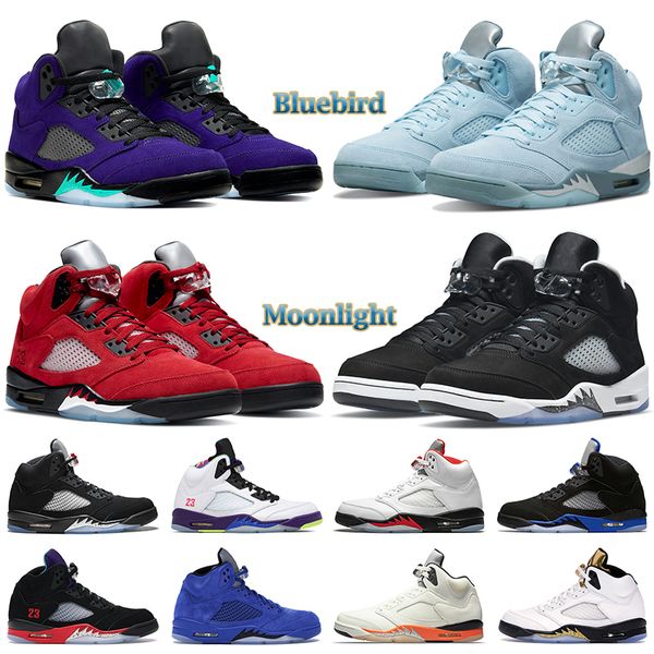 basketball shoes men jumpman bluebird moonlight raging red stealth 2.0 alternate grape what the anthracite shattered backboard mens
basketball shoes men jumpman bluebird moonlight raging red stealth 2.0 alternate grape what the anthracite shattered backboard mens