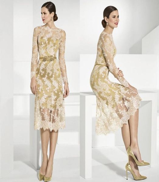 gold lace mother of the bride dresses with long sleeves sheer bateau neck sheath wedding guest dress tea length plus size evening 4063028, Black;red
gold lace mother of the bride dresses with long sleeves sheer bateau neck sheath wedding guest dress tea length plus size evening 4063028, Black;red