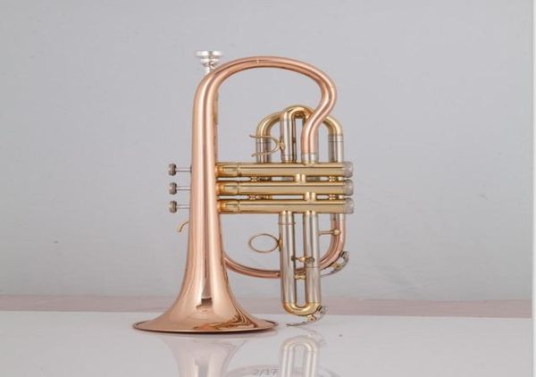 professional bach bb cornet phosphorous copper trumpet international musical instrument with carrying case gloves 1760841
professional bach bb cornet phosphorous copper trumpet international musical instrument with carrying case gloves 1760841