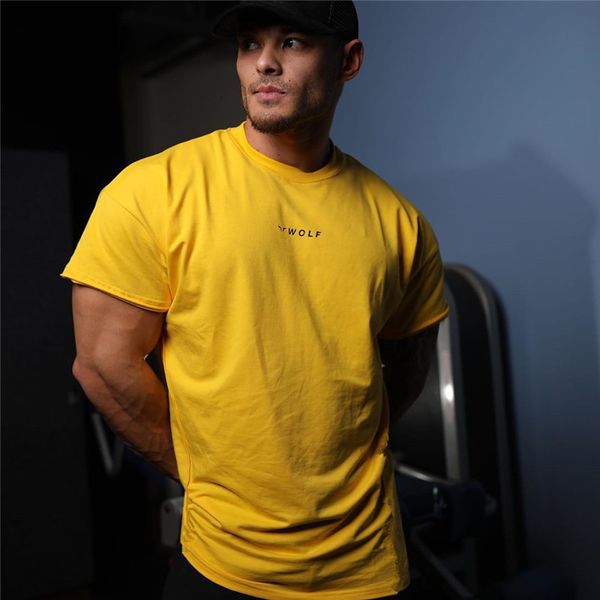 men's t-shirts summer men's fitness cotton t-shirt fitness men's fitness men's fitness men's breathable shirt fashi, White;black
men's t-shirts summer men's fitness cotton t-shirt fitness men's fitness men's fitness men's breathable shirt fashi, White;black